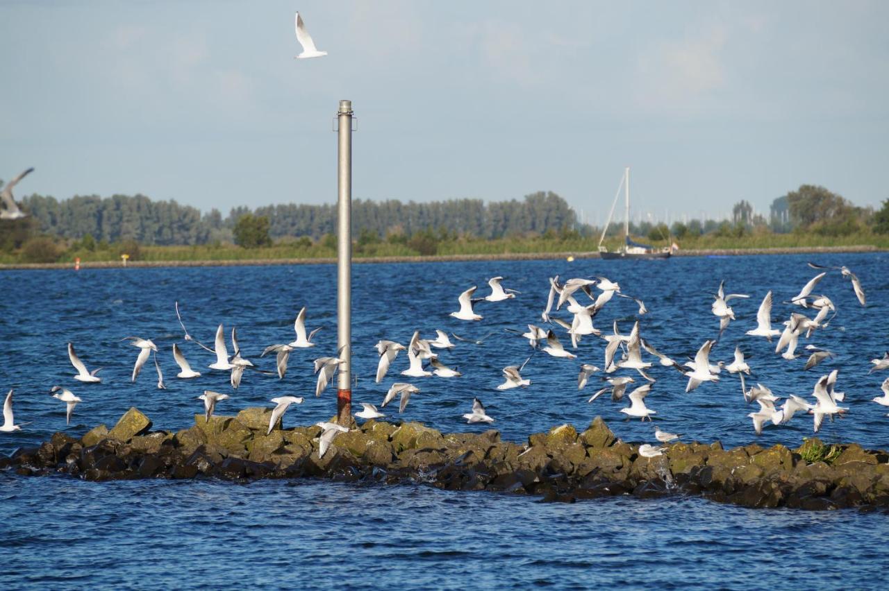 Stad aan 't Haringvliet B&B Logeren Bij De Burgemeester מראה חיצוני תמונה